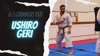 A lesson on Ushiro Geri (Back kick)
