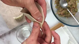 How to Fold Gyozas