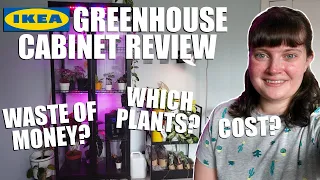 SHOULD YOU GET AN IKEA GREENHOUSE CABINET? | My Milsbo experience & 6 month review