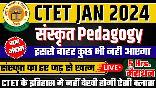 ctet sanskrit class || ctet sanskrit pedagogy || ctet || ctet preparation || ctet exam || ctet news