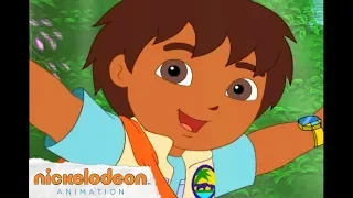 Go, Diego, Go! Theme Song | Nick Jr. | Nick Animation