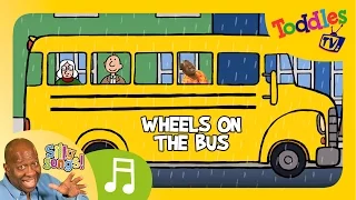 Wheels On The Bus | SILLY SONGS! | Toddles TV