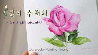 [ENG] 장미 수채화🌷 | 스케치부터 채색하는 방법까지 🗒| Watercolor Painting Tutorial