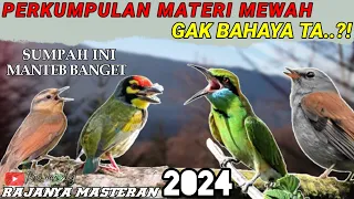 KOMBINASI MASTERAN 2024!! BURUNG Tembakan Kasar YANG BAGUS UNTUK MURAI BATU,CUCAK IJO,KACER,CENDET