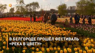 В Белгороде прошёл фестиваль «Река в цвету»