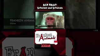 Franken Animals Reels - Ach Ralf! Schnidd und Schdobb - XXUwe