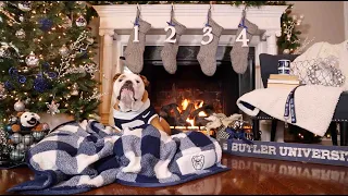 Butler Blue IV Yule Log