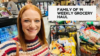 FAMILY OF 14 WEEKLY GROCERY HAUL