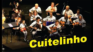 Cuitelinho - 1974 - Compositor Paulo Vanzolini - Orquestra Jovem de Indaiatuba e Amigos & Viola.