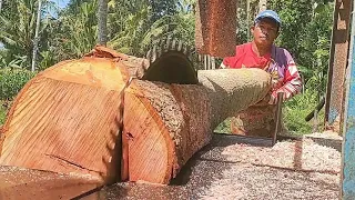 Penggergajian kayu mahoni paling mudah kalau di buat calon bahan kandang