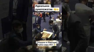 Идеальное рукопожатие перед партией 👊🤝 #shorts