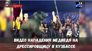 Видео нападения медведя на дрессировщицу в Кузбассе