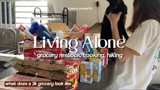 Living Alone in the Philippines: What does a 3k grocery look like, ref restock, cooking, hiking 🏔️