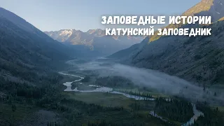 Заповедные истории. Катунский заповедник