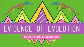 Evolution: It's a Thing - Crash Course Biology #20