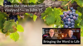 Jesus the true vine John 15
