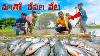 Big Fishes hunting in Village pond 🔥🔥 ఈసారి పెద్ద పెద్ద చేపలు వలతో పెట్టాము...😲😲 Telugu Experiments