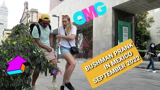 Hilarious screams and Laughter After with Bushman Mexico City