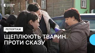 У Чернігові безплатно проводять щеплення тварин проти сказу