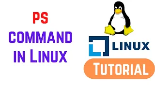 ps command in Linux with examples | How to Use Linux ps Command