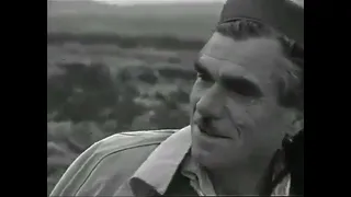 Kistanje 1968. Pazarni dan - Život nekada u Dalmaciji