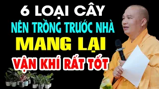 6 Loại Cây Nên Trồng Trước Cửa Nhà Mang Lại VẬN KHÍ TỐT Cho Gia Đình - Thầy Thích Đạo Thịnh