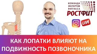 Упражнения для позвоночника. Как лопатки влияют на подвижность позвоночника. Запись эфира 2020-07-11