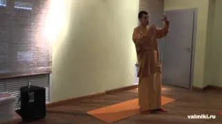 Вальмики дас. Курс Йога для начинающих и практикующих, 2 часть,  2013