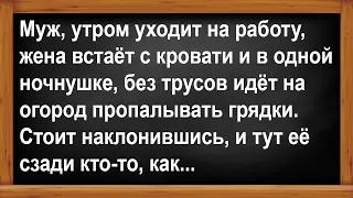 Жена без труселей пошла на огород... Анекдоты! Юмор! Позитив!