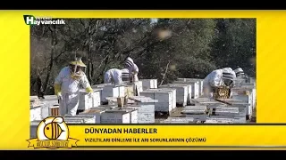 Arıcılık Sohbetleri / 18.Bölüm