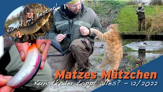 Matze Koch: Angel-Erfolg! Natur- oder Kunstköder? Matzes Mätzchen 12/2022