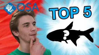 TOP 5 Best FISH for your 30 gal Freshwater aquarium! - With Freshwater Joe