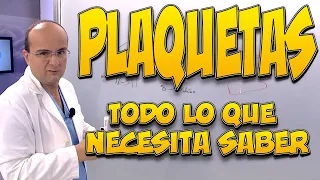 PLAQUETAS - Todo lo que necesita saber