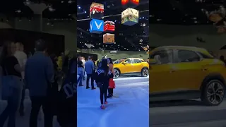 Vinfast Auto Show in USA 2022