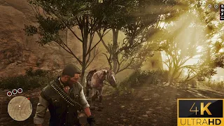 RDR 2 Freeroam Graphics Showcase @ Ultra Max Settings | PC Gameplay 4K HDR  [60 FPS RTX 3080 Ti]