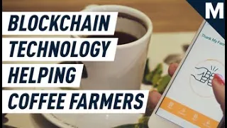 Blockchain Technology Is Helping Farmers Be More Sustainable | Mashable