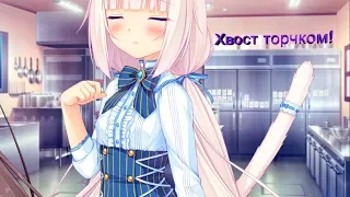 Nekopara Vol.1#9Хвост Торчком!