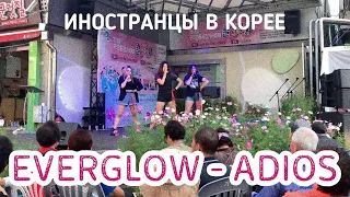 ИНОСТРАНЦЫВ В КОРЕЕ ТАНЦУЮТ 🔥 EVERGLOW - ADIOS dance cover by RED SPARK