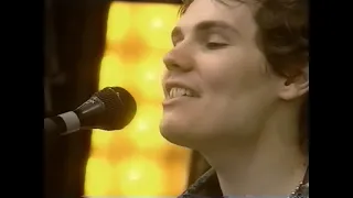 Smashing Pumpkins - Live at Pinkpop Festival / 23 May 1994