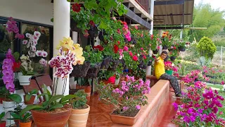 El jardín de floren  ,Valle del Cauca,la cumbre .