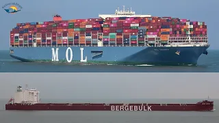 Shipspotting Rotterdam June 2020 - Afternoon Arrivals and Derpartures