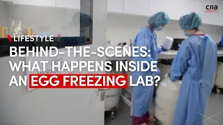 We visited an egg freezing facility in Singapore – here’s what we saw | CNA Lifestyle