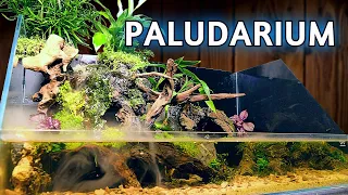 How to Make a DIY Waterfall Paludarium - Hardscape