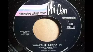 The Ikettes ...   What'cha Gonna Do    1965