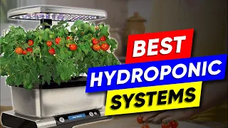 Top 3 Indoor Hydroponic Systems in 2024 👌