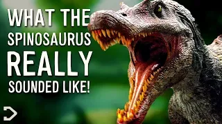What Did The Spinosaurus REALLY Sound Like?