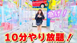 クレーンゲーム10分間やり放題！景品いっぱい取れる？エブリデイで何個ゲットしたのか！【クレーンゲーム】