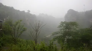 Fall Asleep Instantly, Beat Insomnia | Strong Rainstorm in the hills of Java #asmr