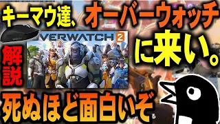 【オーバーウォッチとは何か？】ごちゃごちゃしてて意味不明？タンク？闇のゲーム？OW2がどういうFPSか解説してみます。APEXでマウス握ってる同志諸君、OW2やってみてくれ。【Overwatch 2】