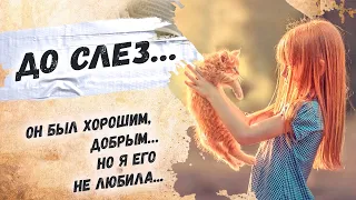 Урок на всю жизнь, не суди по внешности... Вероника Тушнова «Котенок» Стихи о жизни